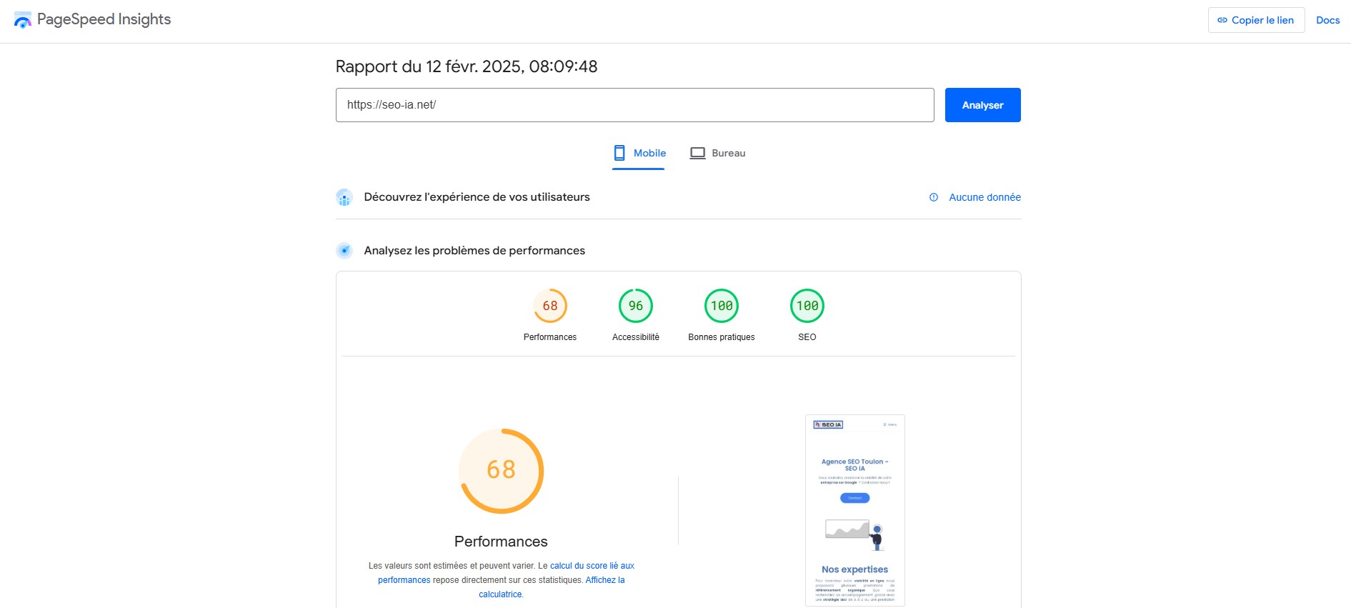 Extrait PageSpeed Insights